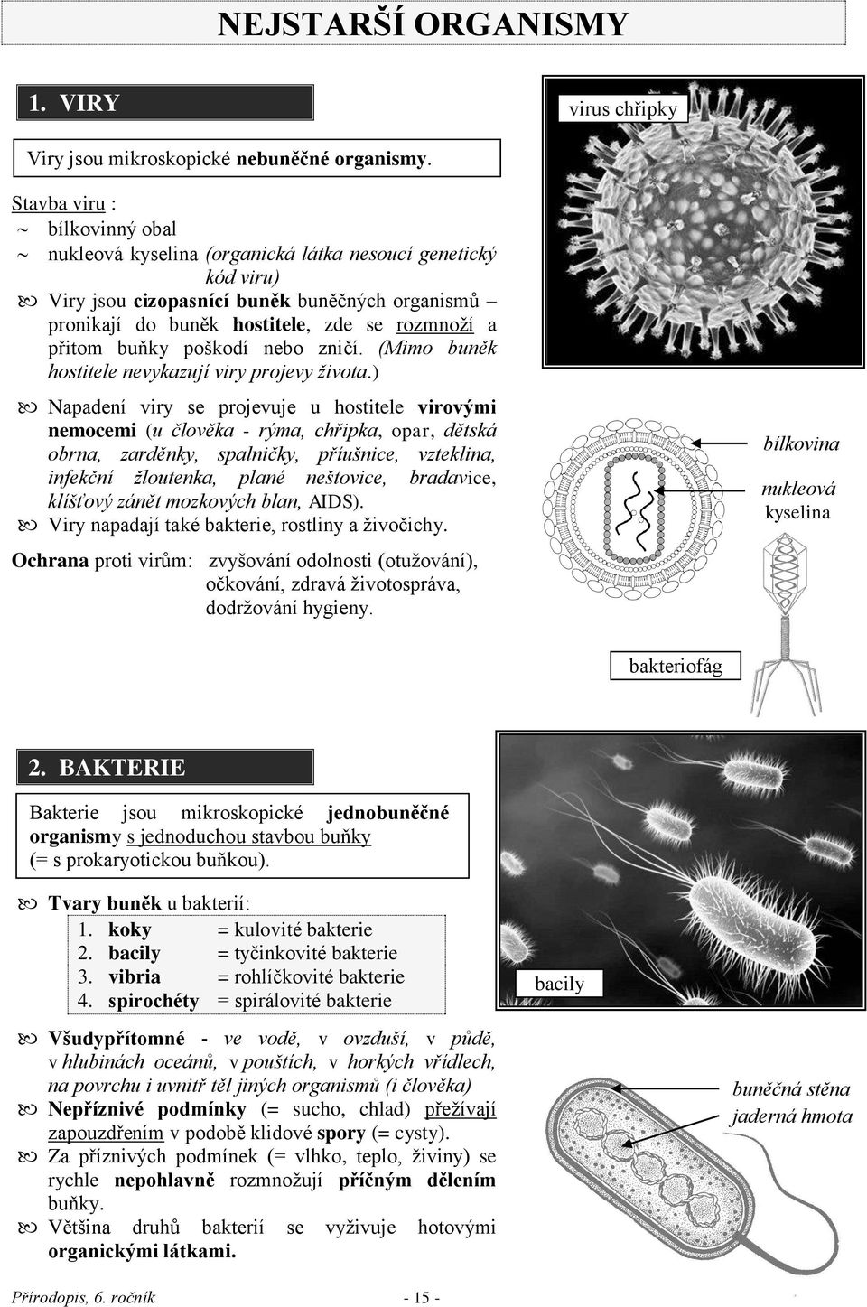 buňky poškodí nebo zničí. (Mimo buněk hostitele nevykazují viry projevy života.