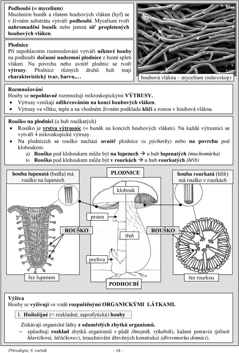 Plodnice různých druhů hub mají charakteristický tvar, barvu, houbová vlákna mycelium (mikroskop) Rozmnožování Houby se nepohlavně rozmnožují mikroskopickými VÝTRUSY.