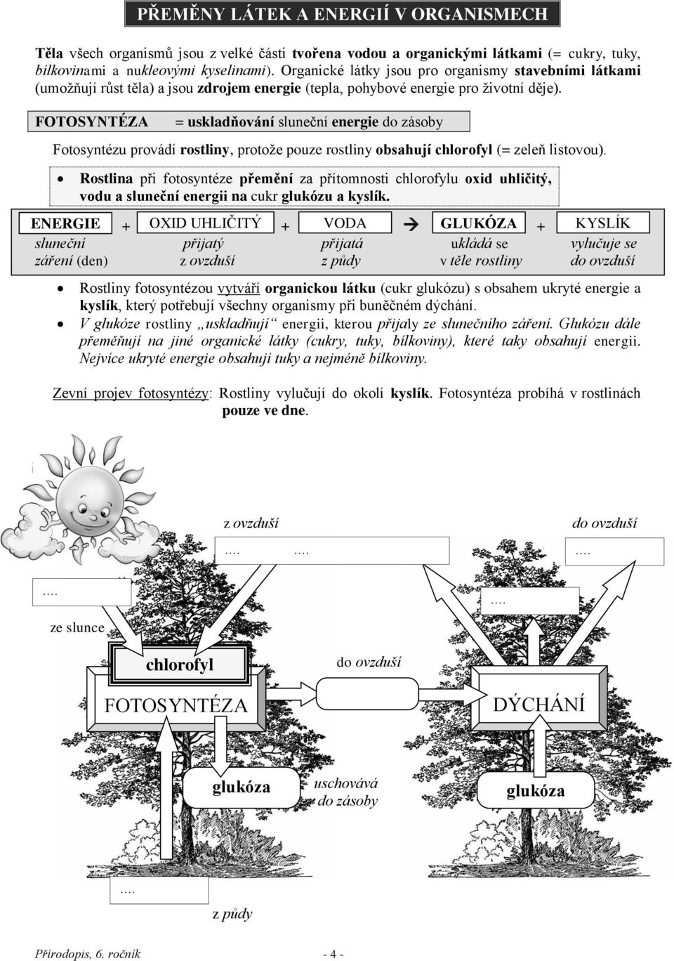 FOTOSYNTÉZA = uskladňování sluneční energie do zásoby Fotosyntézu provádí rostliny, protože pouze rostliny obsahují chlorofyl (= zeleň listovou).