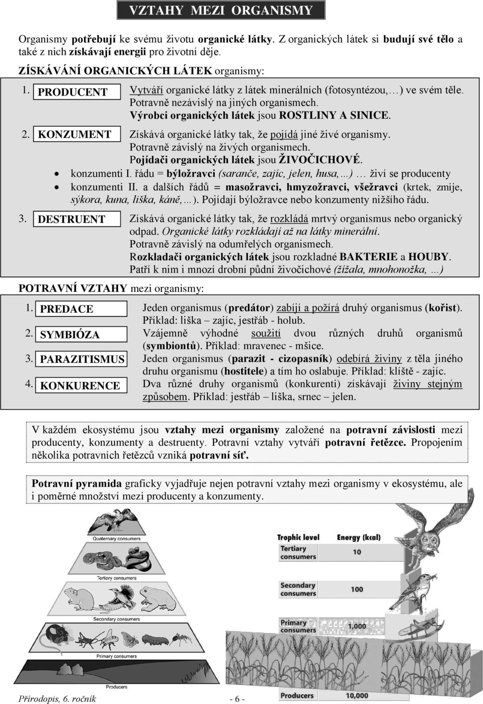 Výrobci organických látek jsou ROSTLINY A SINICE. 2. KONZUMENT Získává organické látky tak, že pojídá jiné živé organismy. Potravně závislý na živých organismech.