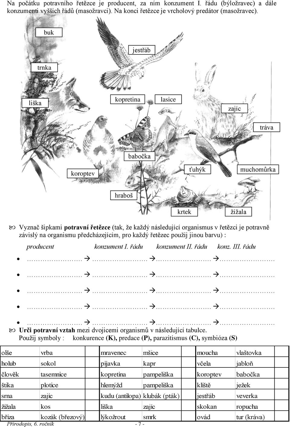 závislý na organismu předcházejícím, pro každý řetězec použij jinou barvu) : producent konzument I. řádu konzument II. řádu konz. III. řádu.................... Urči potravní vztah mezi dvojicemi organismů v následující tabulce.