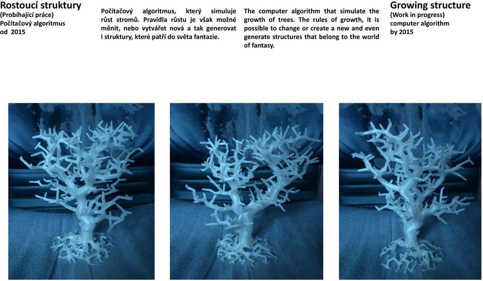 The computer algorithm that simulate the growth of trees.