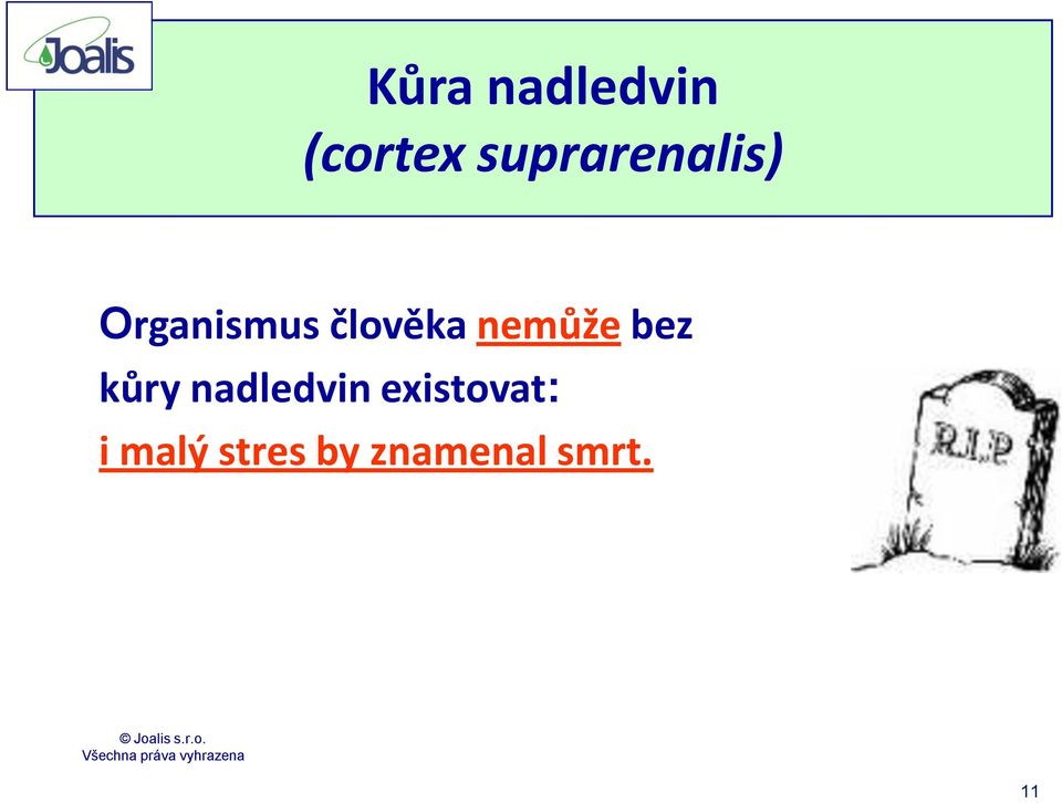 člověka nemůže bez kůry