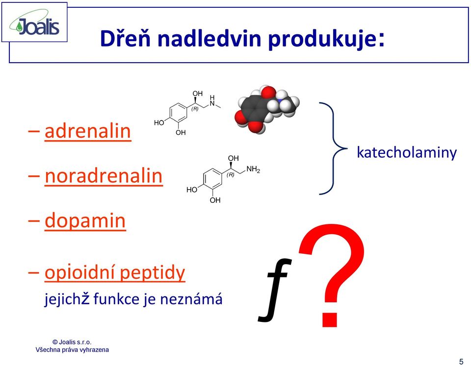 dopamin opioidní peptidy