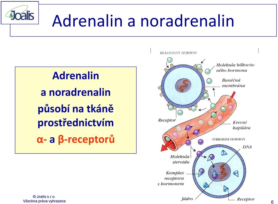 prostřednictvím α- a