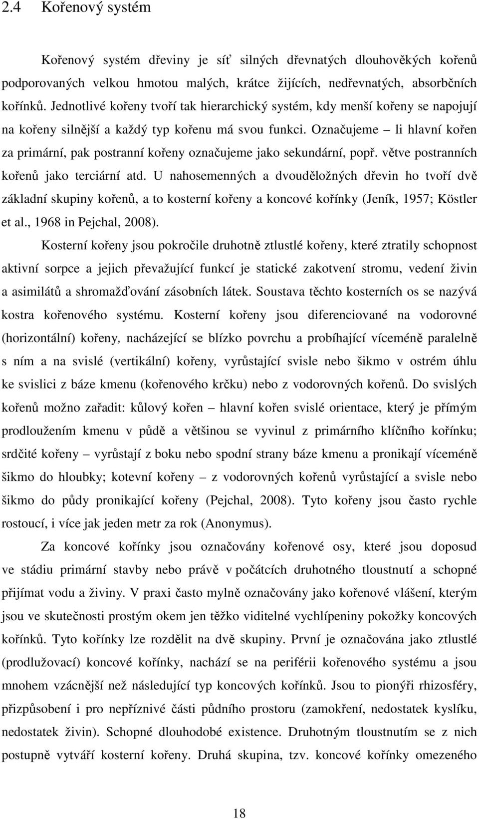 Označujeme li hlavní kořen za primární, pak postranní kořeny označujeme jako sekundární, popř. větve postranních kořenů jako terciární atd.