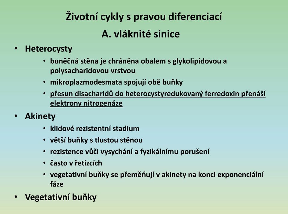 obě bupky přesun disacharidů do heterocystyredukovaný ferredoxin přenáší elektrony nitrogenáze klidové rezistentní