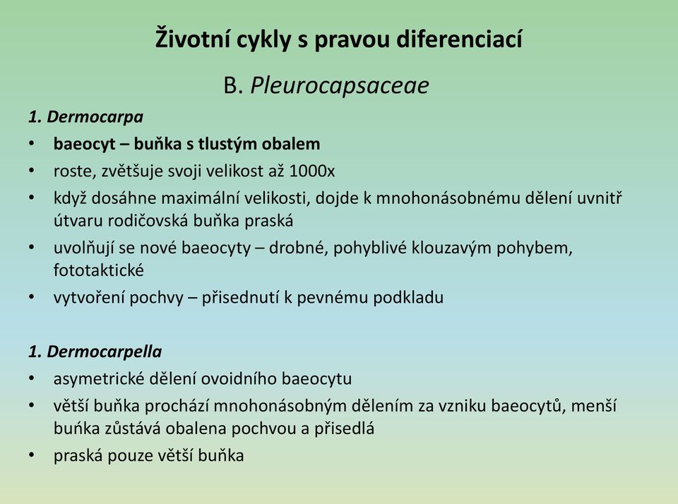 rodičovská bupka praská uvolpují se nové baeocyty drobné, pohyblivé klouzavým pohybem, fototaktické vytvoření pochvy přisednutí k pevnému