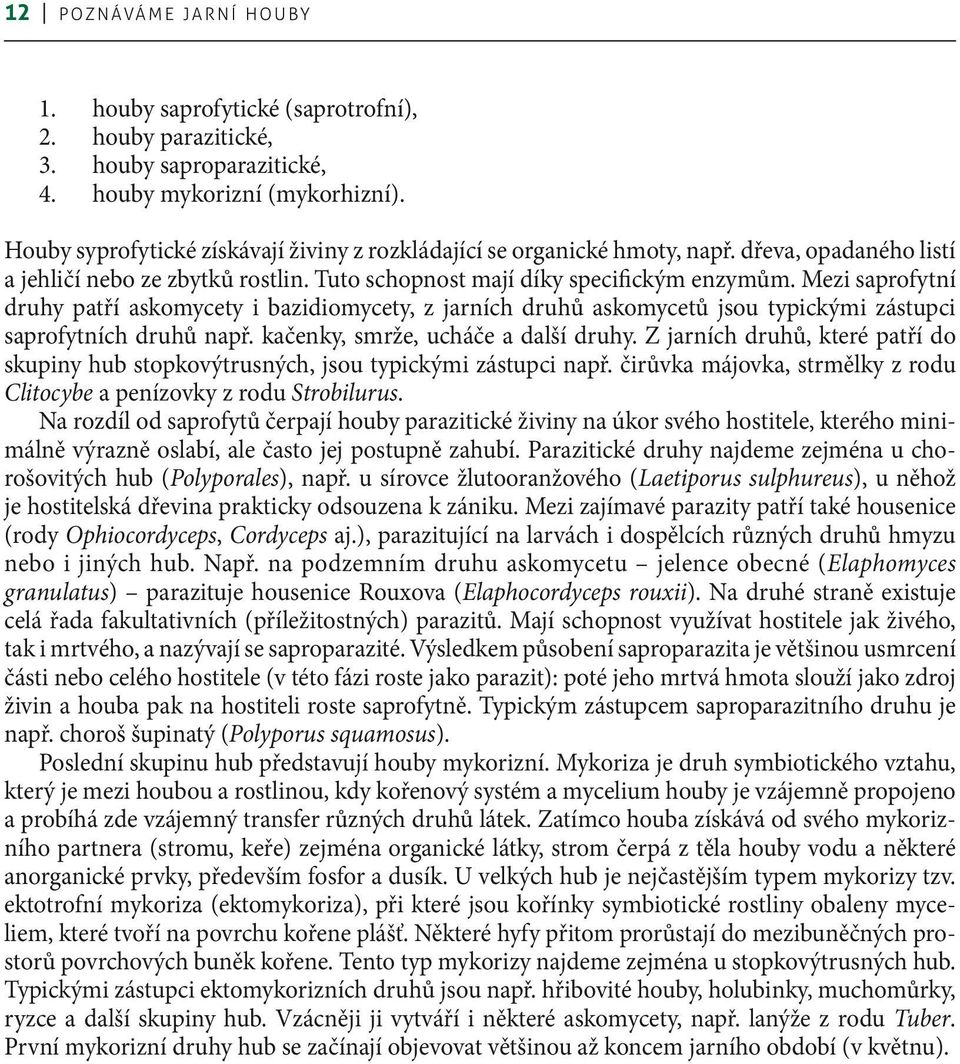 Mezi saprofytní druhy patří askomycety i bazidiomycety, z jarních druhů askomycetů jsou typickými zástupci saprofytních druhů např. kačenky, smrže, ucháče a další druhy.