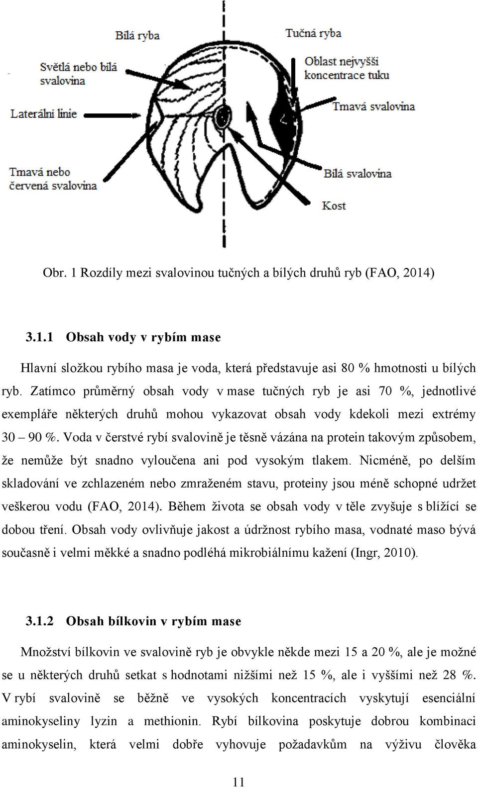 Voda v čerstvé rybí svalovině je těsně vázána na protein takovým způsobem, že nemůže být snadno vyloučena ani pod vysokým tlakem.