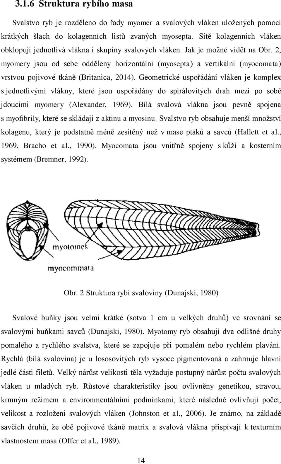 2, myomery jsou od sebe odděleny horizontální (myosepta) a vertikální (myocomata) vrstvou pojivové tkáně (Britanica, 2014).