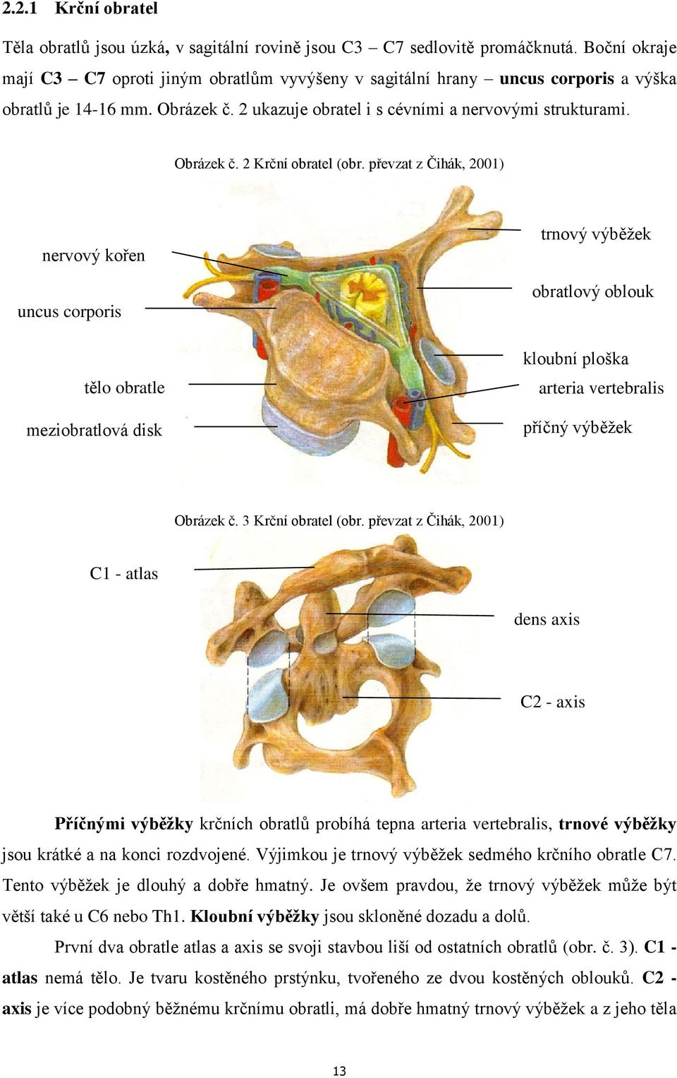 převzat z Čihák, 2001) nervový kořen uncus corporis tělo obratle meziobratlová disk trnový výběžek obratlový oblouk kloubní ploška arteria vertebralis příčný výběžek Obrázek č. 3 Krční obratel (obr.