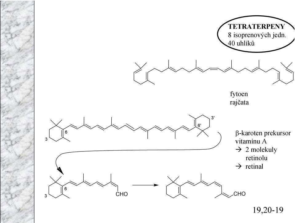 β-karoten prekursor vitamínu A 2