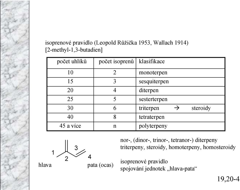 triterpen steroidy tetraterpen polyterpeny hlava 1 2 3 4 pata (ocas) nor-, (dinor-, trinor-, tetranor-)