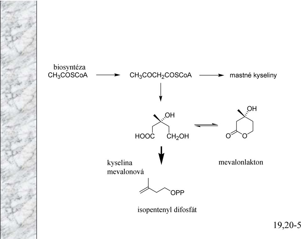 kyselina mevalonová