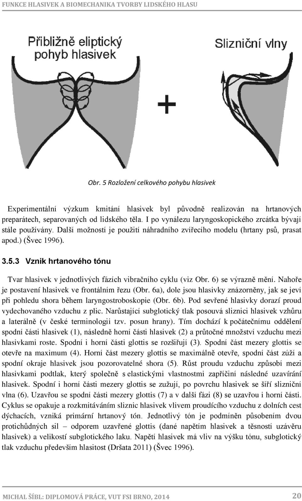 I po vynálezu laryngoskopického zrcátka bývají stále používány. Další možností je použití náhradního zvířecího modelu (hrtany psů, prasat apod.) (Švec 1996). 3.5.