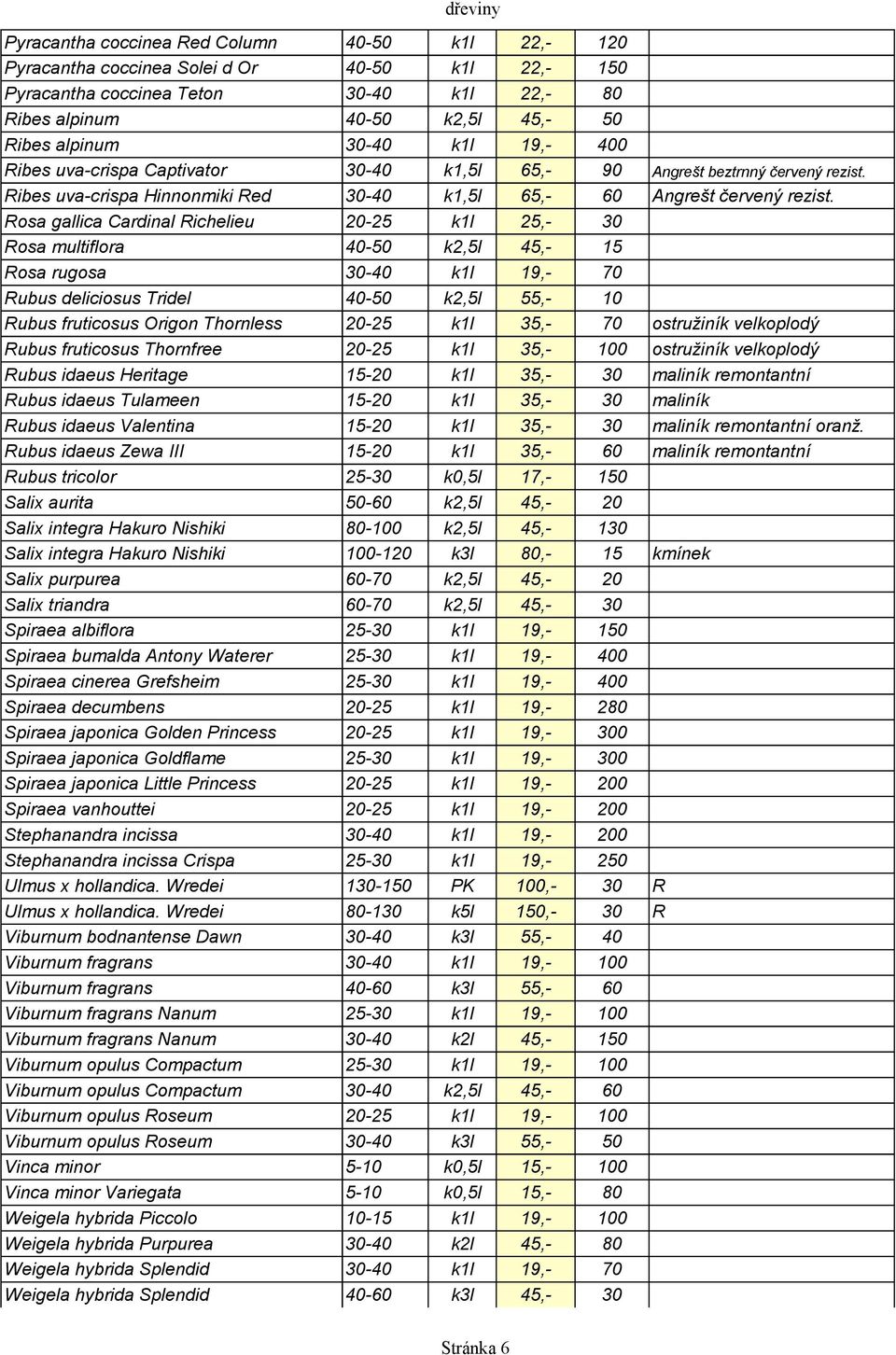 Rosa gallica Cardinal Richelieu 20-25 k1l 25,- 30 Rosa multiflora 40-50 k2,5l 45,- 15 Rosa rugosa 30-40 k1l 19,- 70 Rubus deliciosus Tridel 40-50 k2,5l 55,- 10 Rubus fruticosus Origon Thornless 20-25