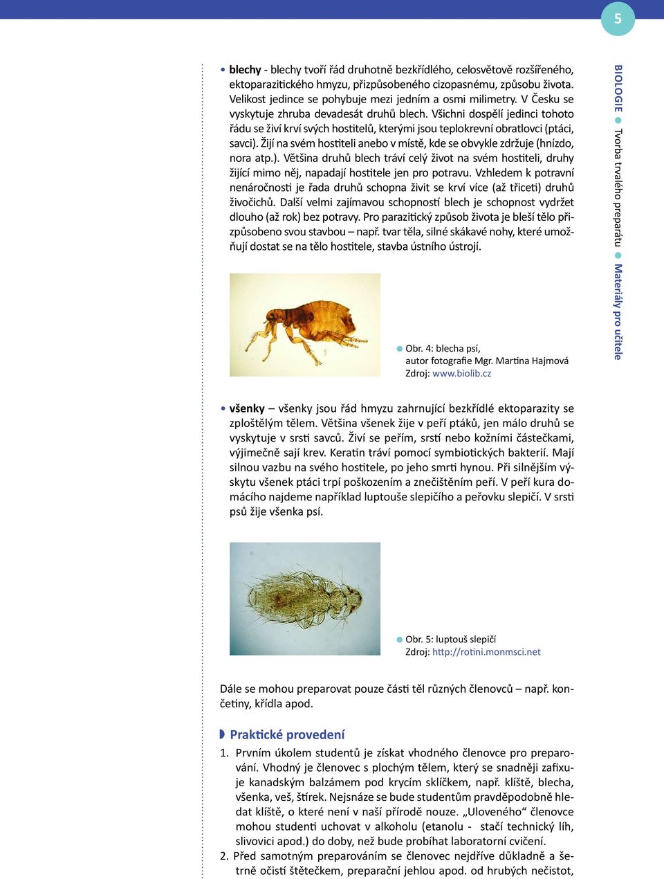 Všichni dospělí jedinci tohoto řádu se živí krví svých hostitelů, kterými jsou teplokrevní obratlovci (ptáci, savci).