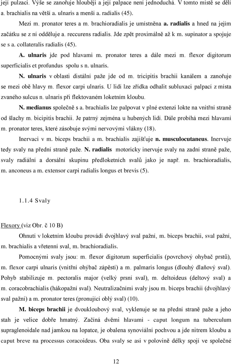 ulnaris jde pod hlavami m. pronator teres a dále mezi m. flexor digitorum superficialis et profundus spolu s n. ulnaris. N. ulnaris v oblasti distální paţe jde od m.