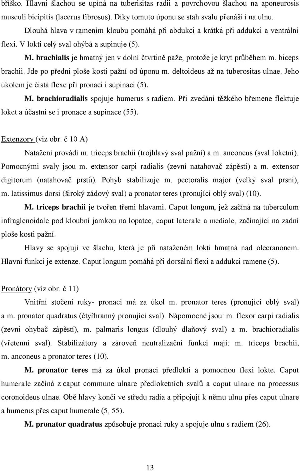 brachialis je hmatný jen v dolní čtvrtině paţe, protoţe je kryt průběhem m. biceps brachii. Jde po přední ploše kosti paţní od úponu m. deltoideus aţ na tuberositas ulnae.