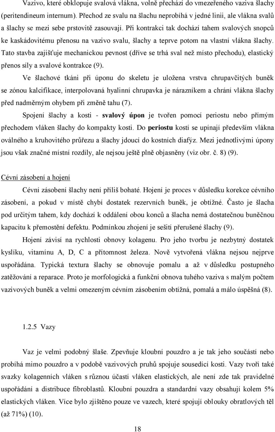 Při kontrakci tak dochází tahem svalových snopců ke kaskádovitému přenosu na vazivo svalu, šlachy a teprve potom na vlastní vlákna šlachy.