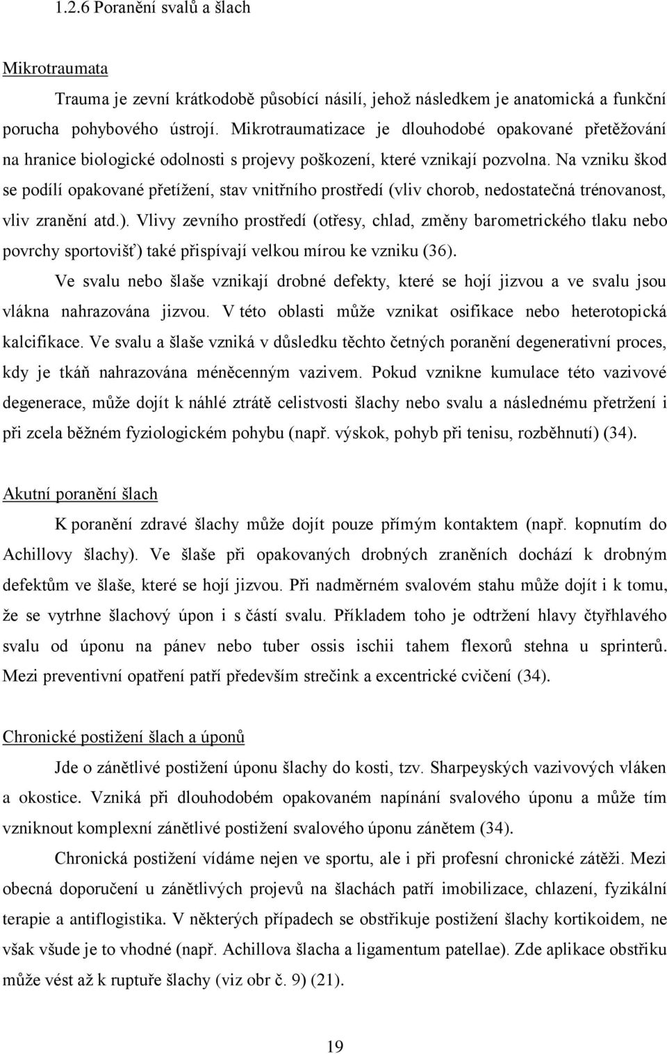 Na vzniku škod se podílí opakované přetíţení, stav vnitřního prostředí (vliv chorob, nedostatečná trénovanost, vliv zranění atd.).