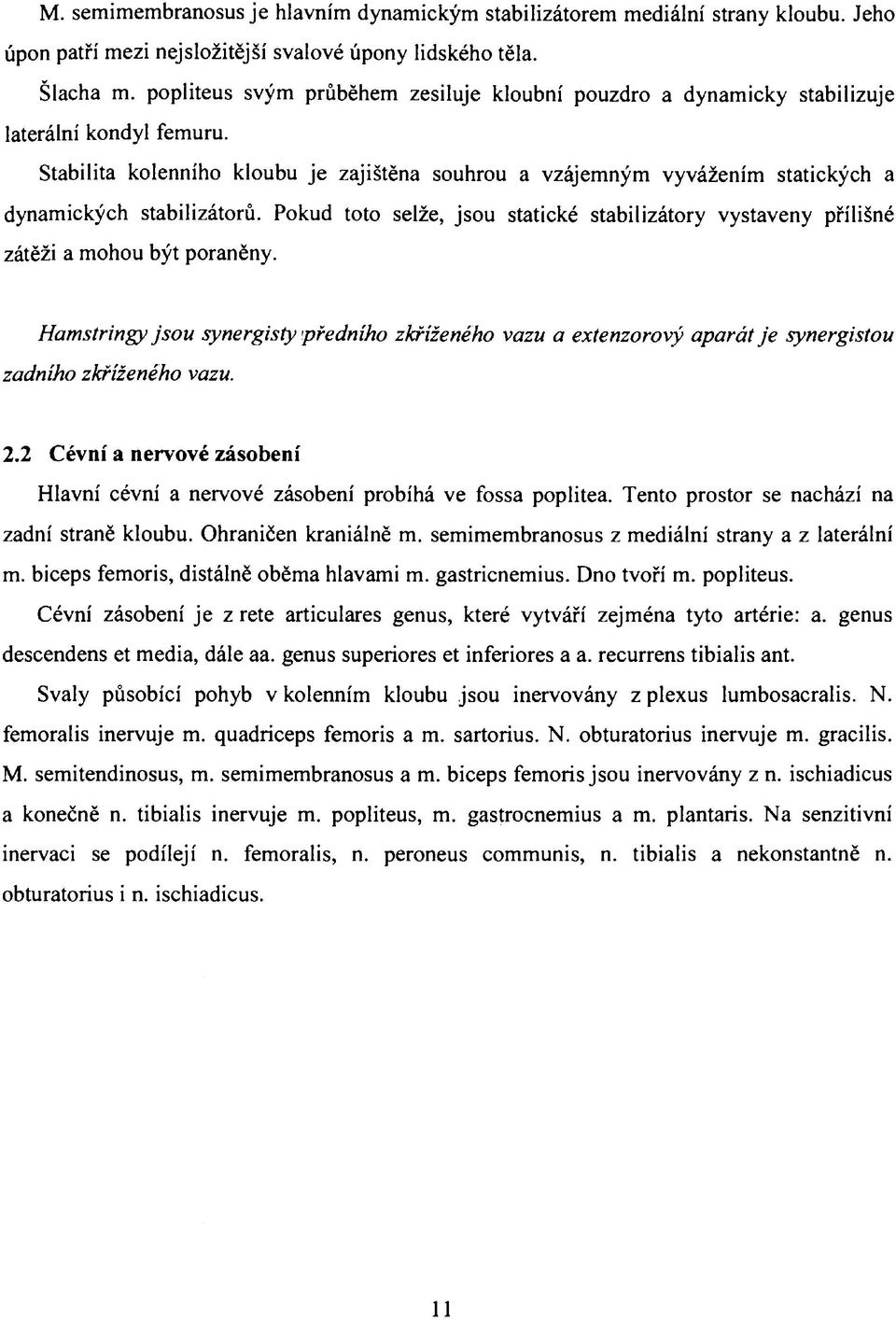 Stabilita kolenního kloubu je zajištěna souhrou a vzájemným vyvážením statických a dynamických stabilizátorů.