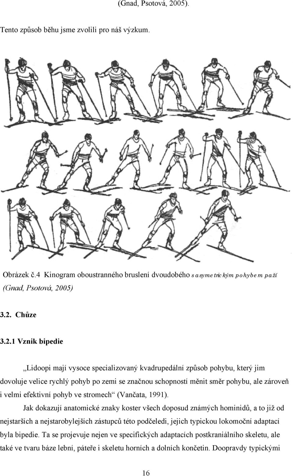 Chůze 3.2.