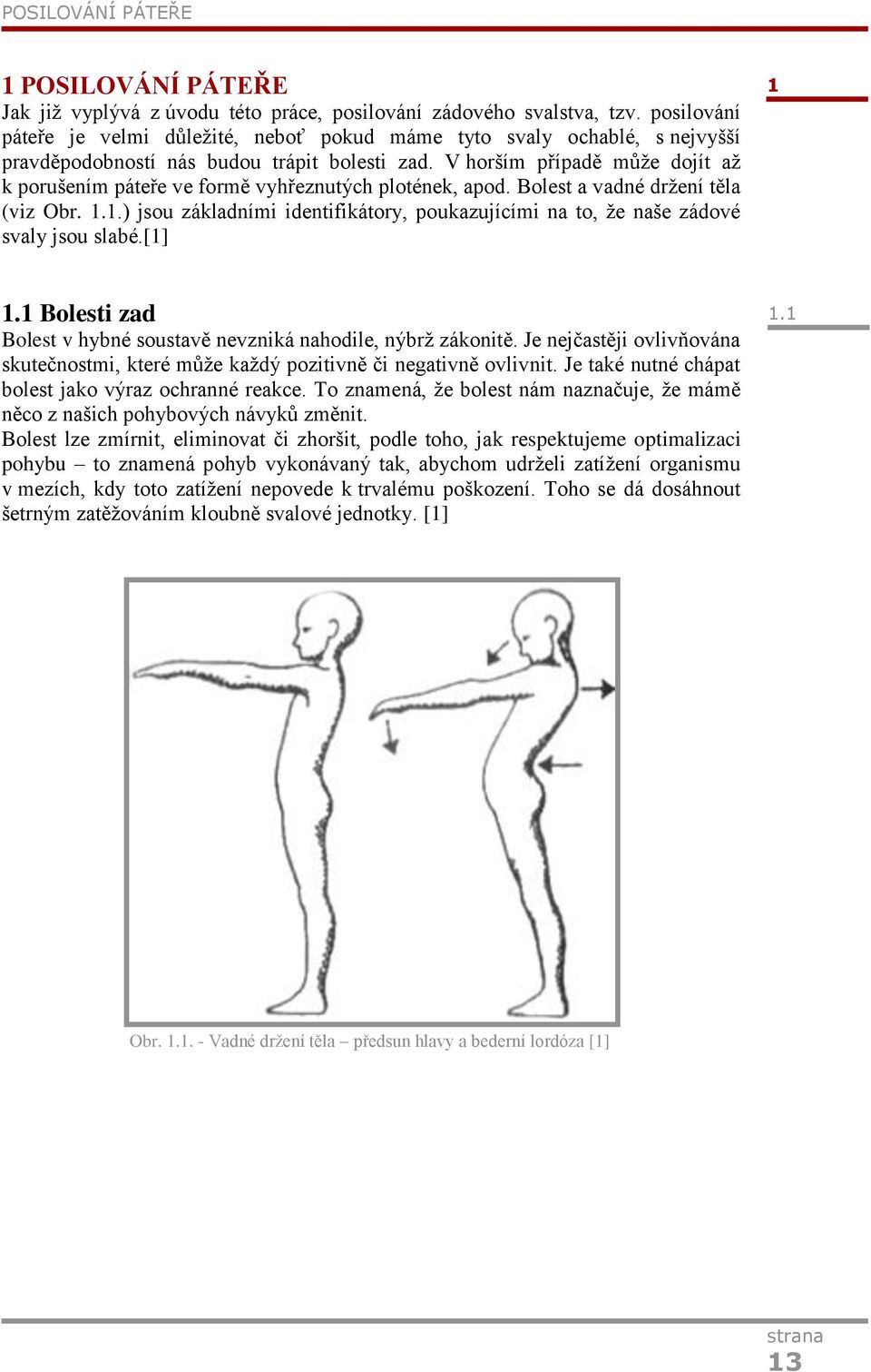 V horším případě můţe dojít aţ k porušením páteře ve formě vyhřeznutých plotének, apod. Bolest a vadné drţení těla (viz Obr. 1.