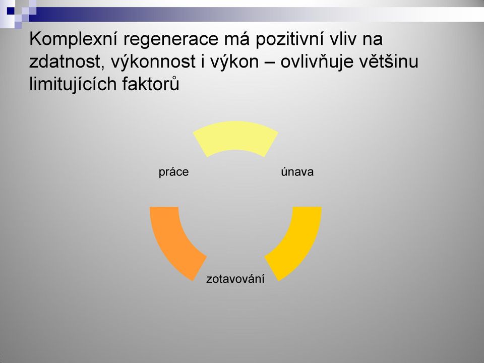 výkonnost i výkon ovlivňuje