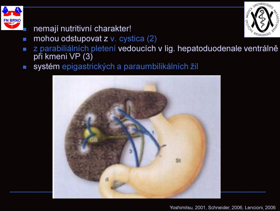 hepatoduodenale ventrálně při kmeni VP (3) systém