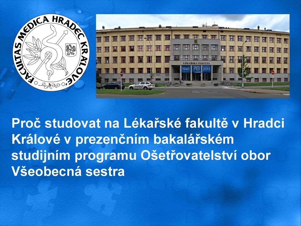 prezenčním bakalářském studijním