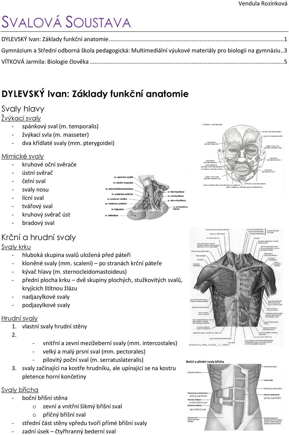 pterygoidei) Mimické svaly - kruhové oční svěrače - ústní svěrač - čelní sval - svaly nosu - lícní sval - tvářový sval - kruhový svěrač úst - bradový sval Krční a hrudní svaly Svaly krku - hluboká