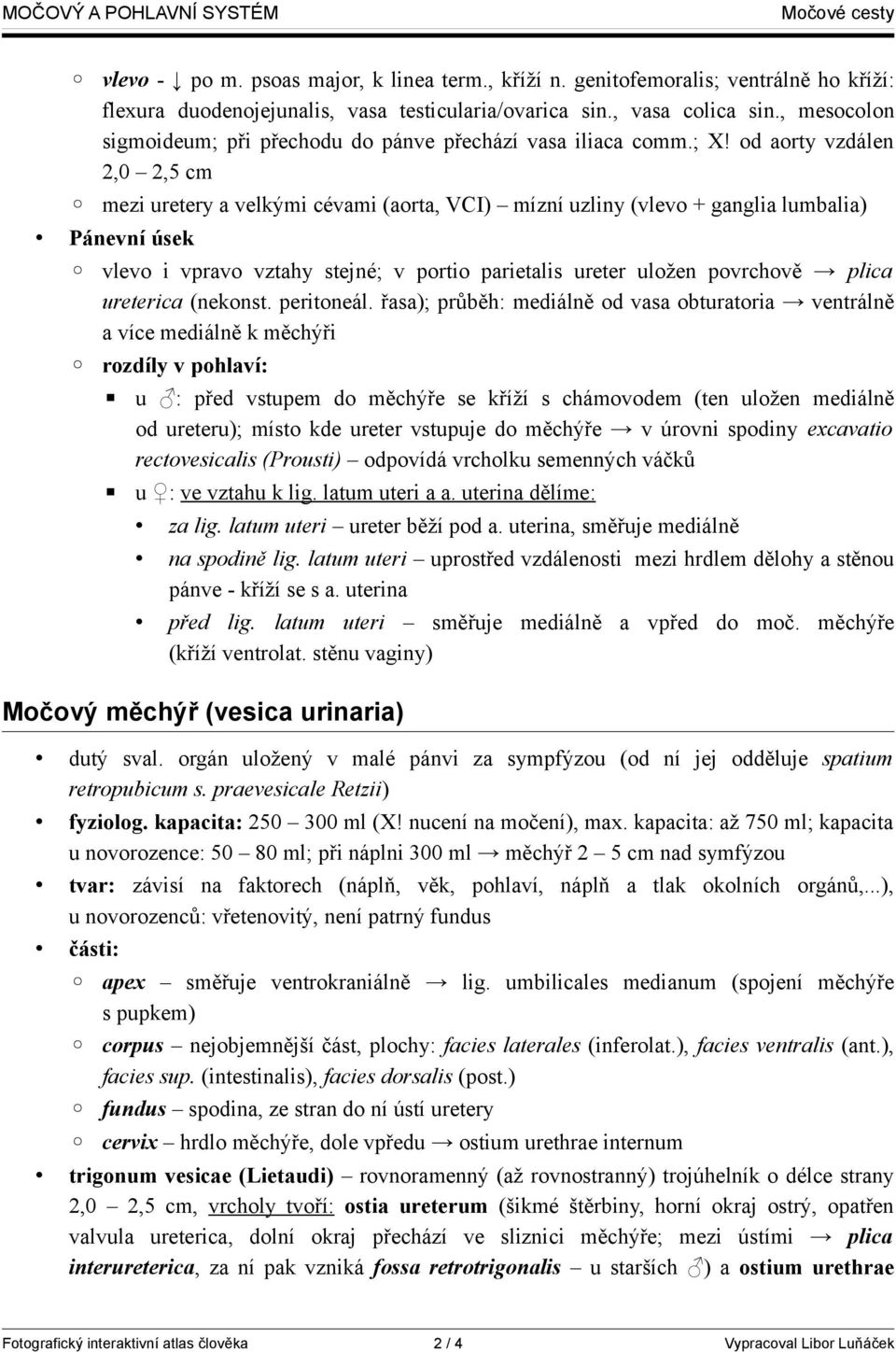 od aorty vzdálen 2,0 2,5 cm mezi uretery a velkými cévami (aorta, VCI) mízní uzliny (vlevo + ganglia lumbalia) Pánevní úsek vlevo i vpravo vztahy stejné; v portio parietalis ureter uložen povrchově