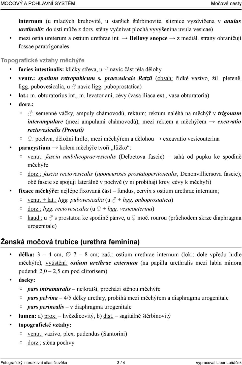 strany ohraničují fossae paratrigonales Topografické vztahy měchýře facies intestinalis: kličky střeva, u navíc část těla dělohy ventr.: spatium retropubicum s.