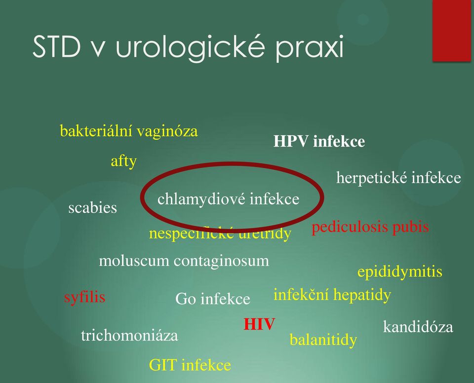 infekce pediculosis pubis moluscum contaginosum epididymitis