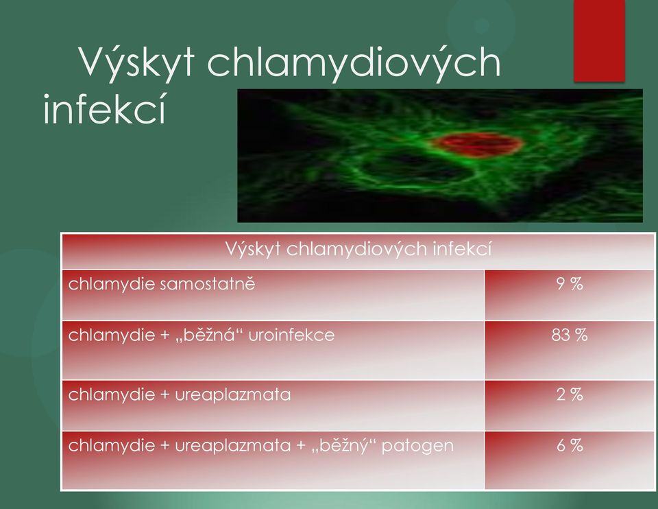 chlamydie + běžná uroinfekce 83 % chlamydie +