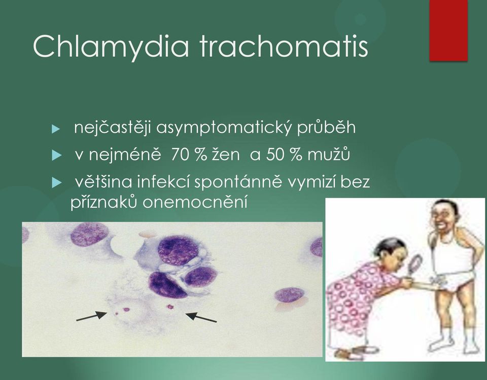% žen a 50 % mužů většina infekcí