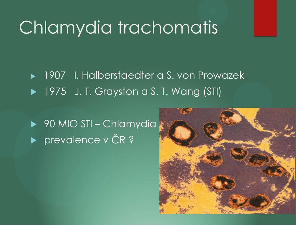 von Prowazek 1975 J. T.