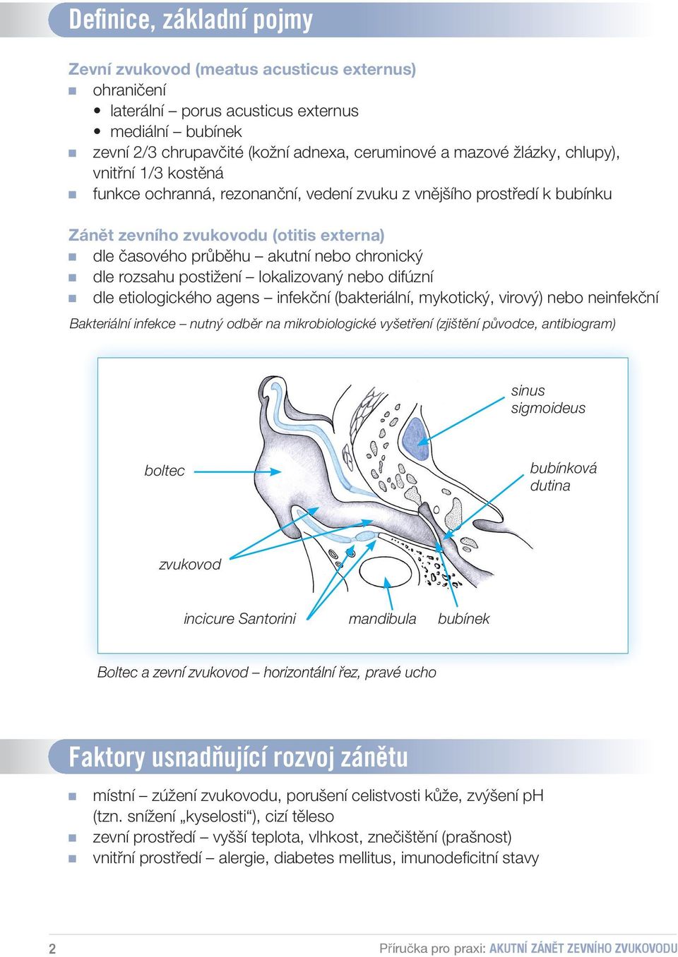 postižení lokalizovaný nebo difúzní dle etiologického agens infekční (bakteriální, mykotický, virový) nebo neinfekční Bakteriální infekce nutný odběr na mikrobiologické vyšetření (zjištění původce,
