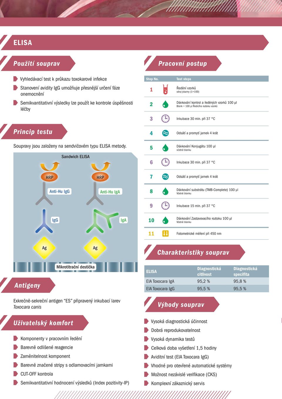 ředěných vzorků 100 µl Blank = 100 µl Ředicího roztoku vzorků 3 Inkubace 30 min. při 37 C Princip testu Soupravy jsou založeny na sendvičovém typu ELISA metody.