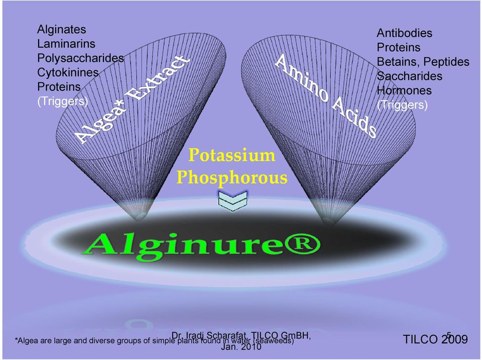 Potassium Phosphorous Dr. Iradj Scharafat, TILCO GmBH, Jan.