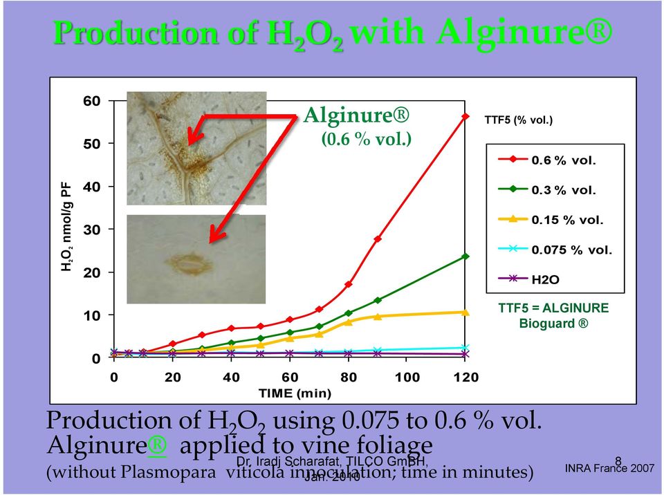 H2O TTF5 = ALGINURE Bioguard 0 0 20 40 60 80 100 120 TIME (min) Production of H 2 O 2 using 0.075 to 0.6 % vol.