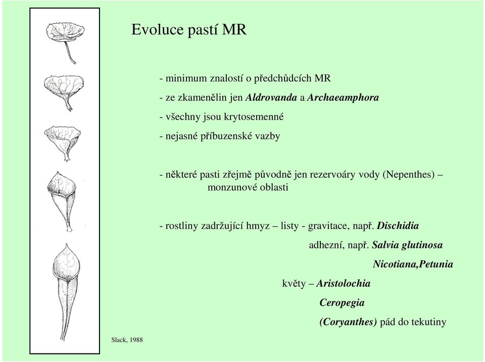 (Nepenthes) monzunové oblasti Slack, 1988 - rostliny zadržující hmyz listy - gravitace, např.