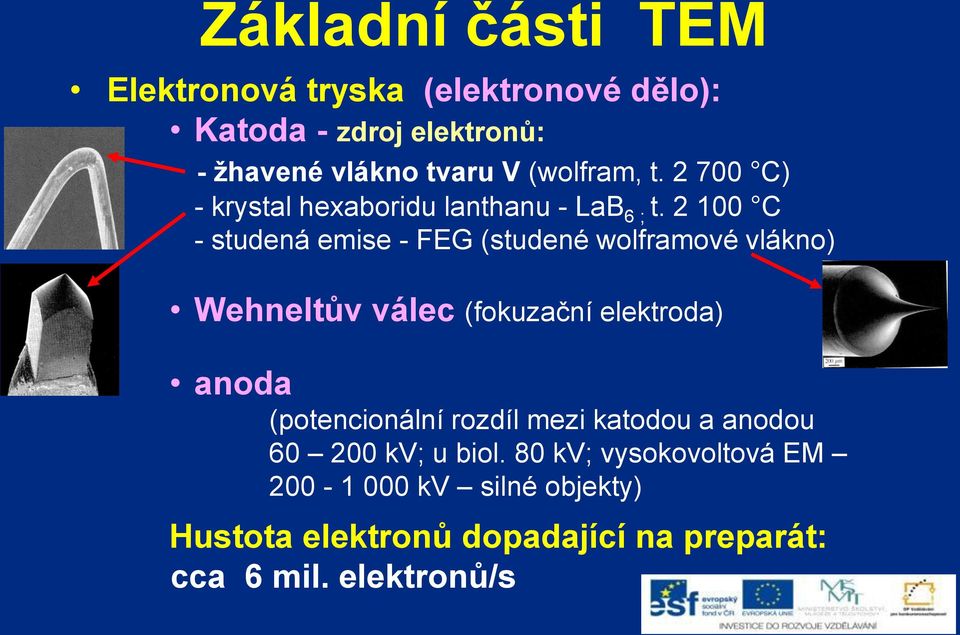 2 100 C - studená emise - FEG (studené wolframové vlákno) Wehneltův válec (fokuzační elektroda) anoda