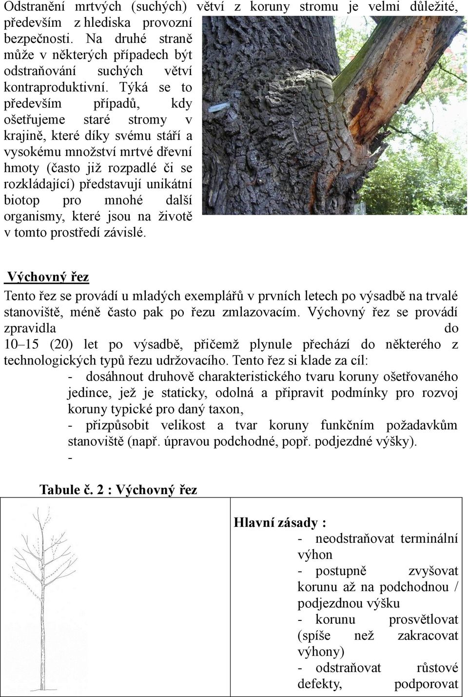 Týká se to především případů, kdy ošetřujeme staré stromy v krajině, které díky svému stáří a vysokému množství mrtvé dřevní hmoty (často již rozpadlé či se rozkládající) představují unikátní biotop