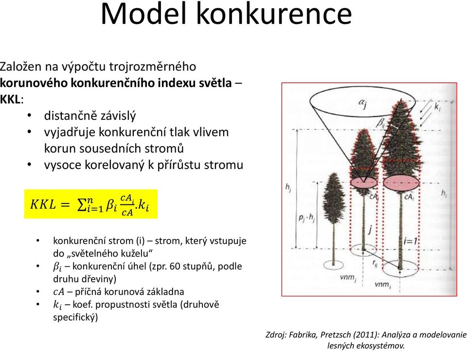 k i konkurenční strom (i) strom, který vstupuje do světelného kuželu β i konkurenční úhel (zpr.