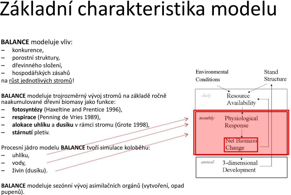 BALANCE modeluje trojrozměrný vývoj stromů na základě ročně naakumulované dřevní biomasy jako funkce: fotosyntézy (Haxeltine and Prentice