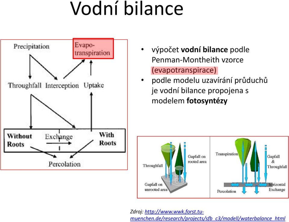 vodní bilance propojena s modelem fotosyntézy Zdroj: http://www.