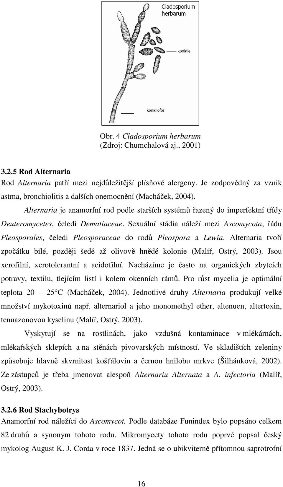 Sexuální stádia náleží mezi Ascomycota, řádu Pleosporales, čeledi Pleosporaceae do rodů Pleospora a Lewia. Alternaria tvoří zpočátku bílé, později šedé až olivově hnědé kolonie (Malíř, Ostrý, 2003).